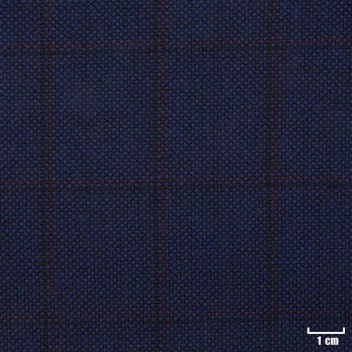 [213115] BLUE, BLACK/RED CHECKS