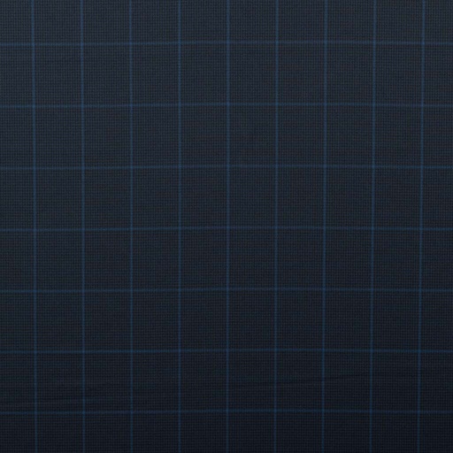 [352911] BLUE, CHECKS
