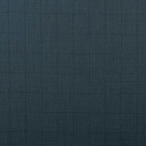 [352920] BLUE, CHECKS