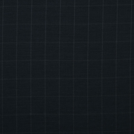 [353015] BLUE, CHECKS