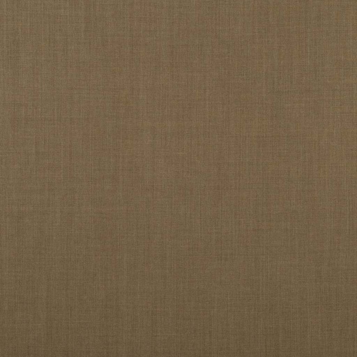 [353024] BROWN, PLAIN
