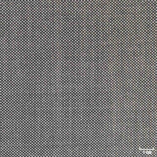 [318050] LIGHT GREY, BIRDEYE (DR# 60050)