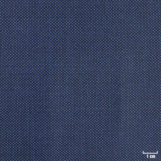 [318052] BLUE, BIRDEYE (DR# 60052)