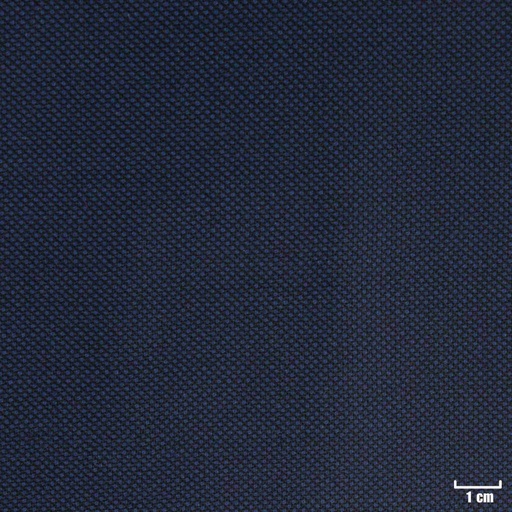 [318053] DARK BLUE, BIRDEYE (DR# 60053)