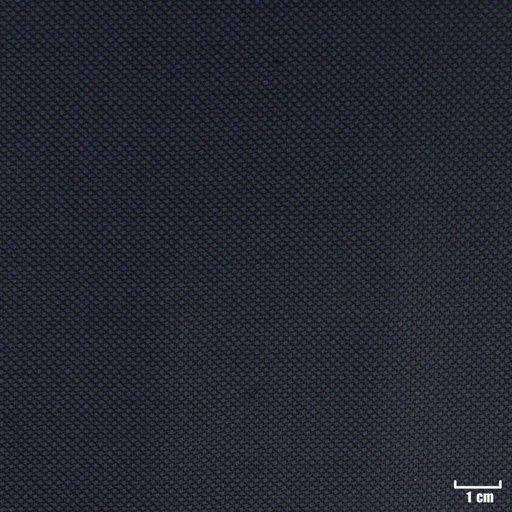 [318054] DARK BLUE, BIRDEYE (DR# 60054)