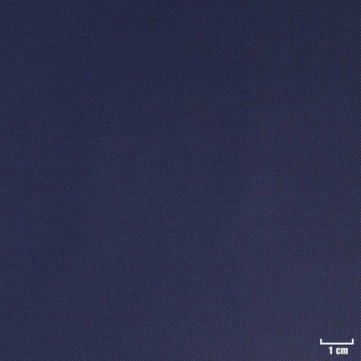 [318061] BLUE, PLAIN (DR# 60061)