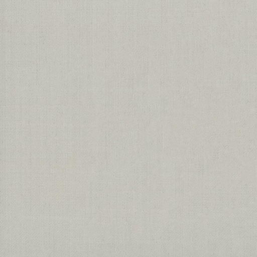 [318066] TAN, PLAIN (DR# 60066)
