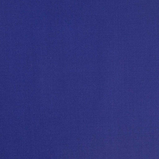 [318076] BLUE, PLAIN (DR# 60076)