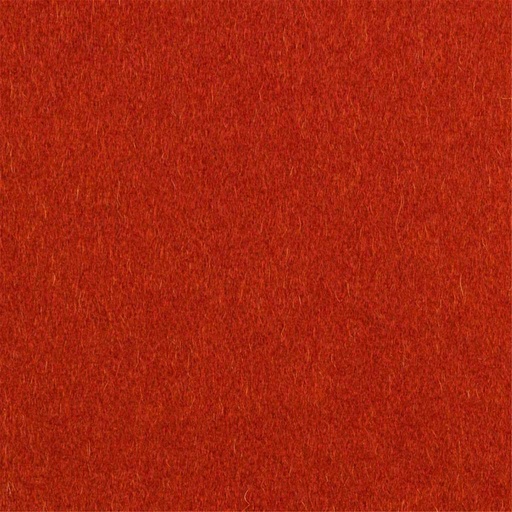 [405634] ORANGE, PLAIN