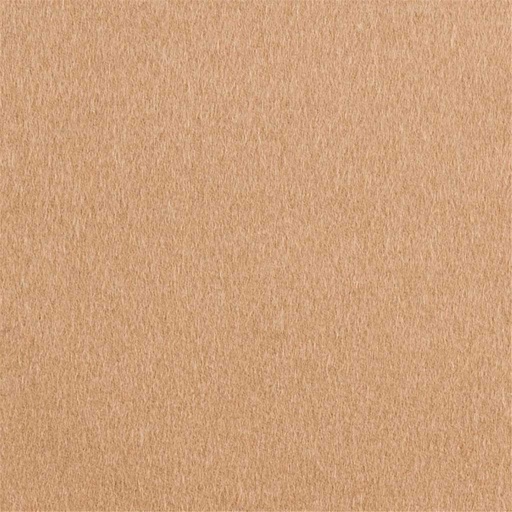 [405505] CAMEL, PLAIN