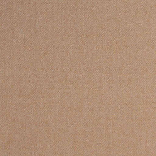 [405529] CAMEL, PLAIN