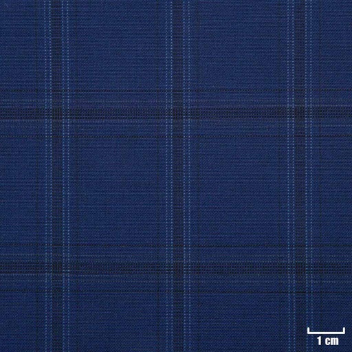 [213841] BLUE, CHECKS