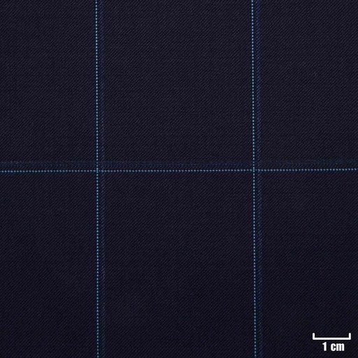 [227859] NAVY,CHECKS