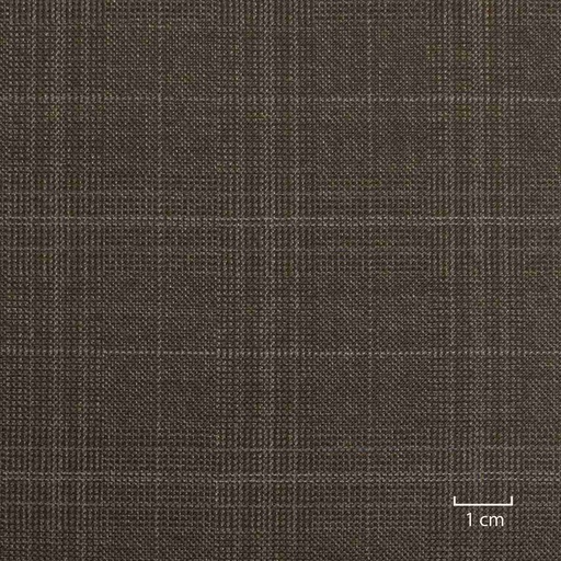 [502119] BROWN, CHECKS
