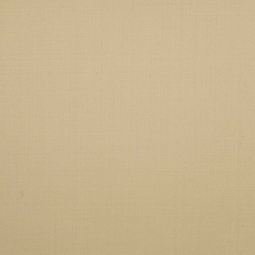 [502373] CREAM,PLAIN