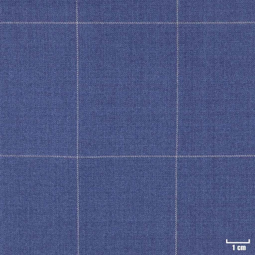[318517] BLUE, BIG WHITE CHECKS (DR# 10117)