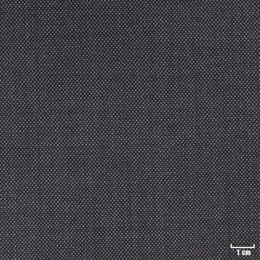 [318541] DARK GREY, BIRDEYE (DR# 10141)