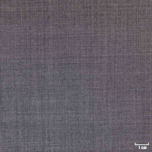 [318551] GREY, SHARKSKIN (DR# 10146)