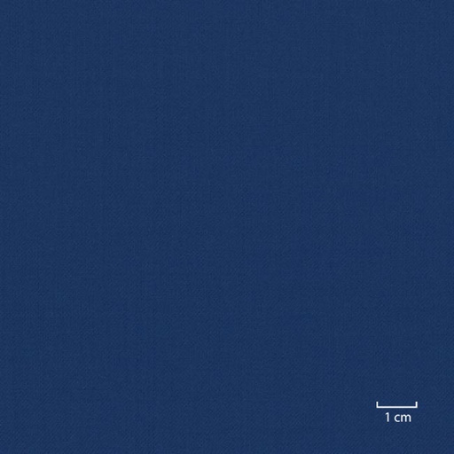 [318570] BLUE, PLAIN (DR# 10178)