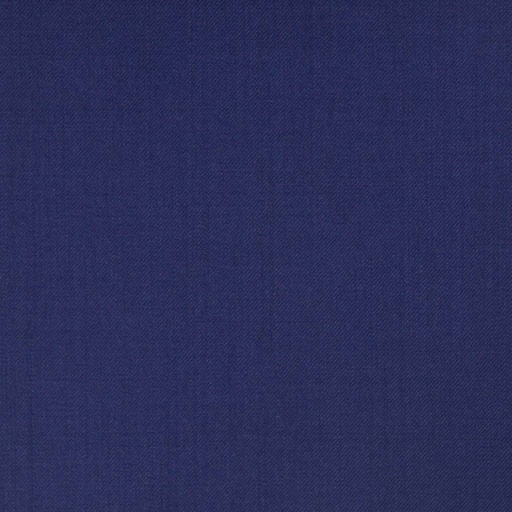 [318571] BLUE, PLAIN (DR# 10179)