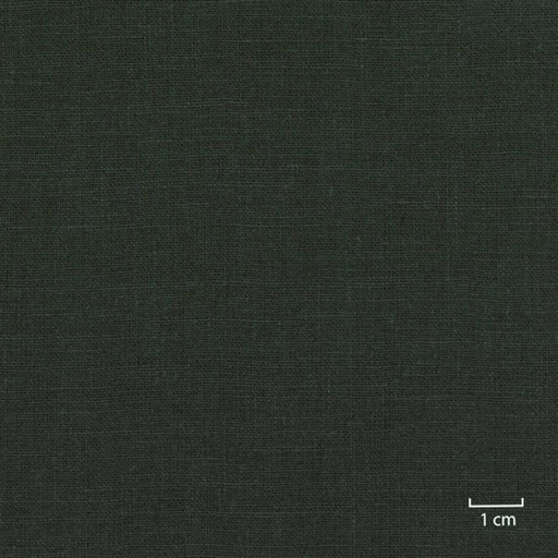 [318813] GREEN, PLAIN (DR# 25113)