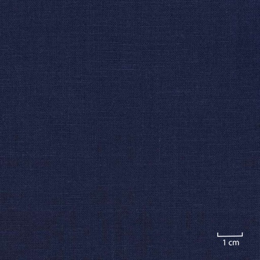 [318819] BLUE, PLAIN (DR# 25119)