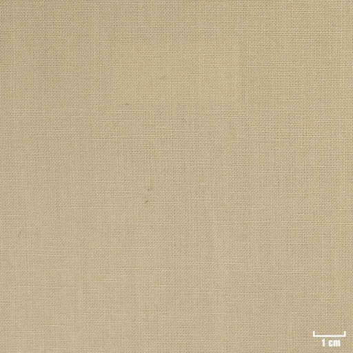 [318842] TAN, PLAIN (DR# 25142)