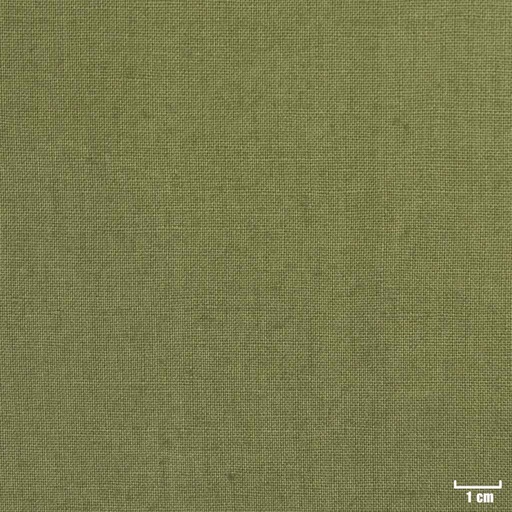 [318845] GREEN, PLAIN (DR# 25145)