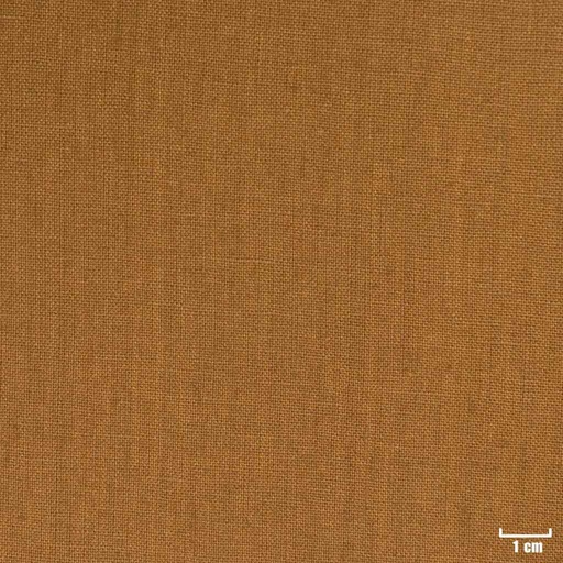 [318846] GOLDEN BROWN, PLAIN (DR# 25146)