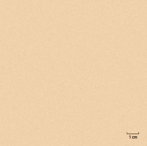 [451302] TAN, PLAIN