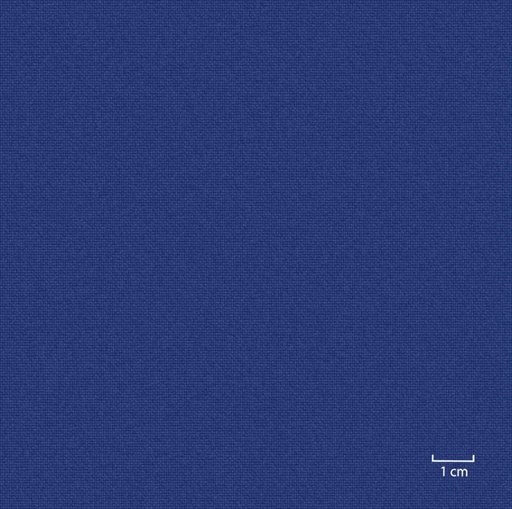 [451316] BLUE, PLAIN