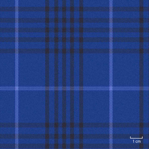 [451322] BLUE, BIG CHECKS