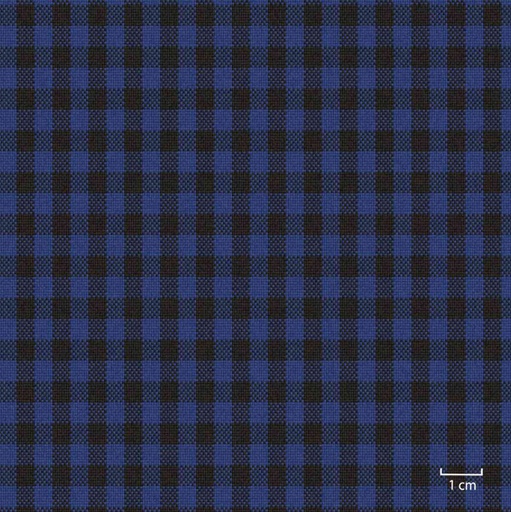 [451332] BLUE, SMALL CHECKS