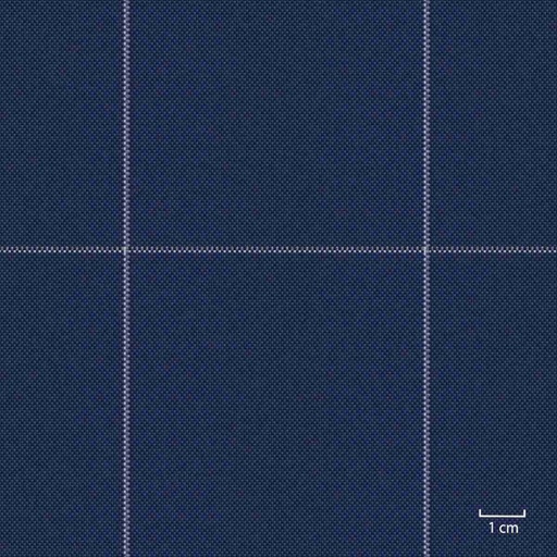 [451339] BLUE, BIG CHECKS
