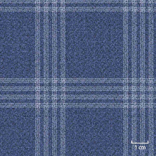 [451406] BLUE, CHECKS