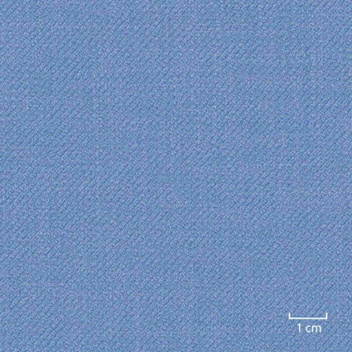 [451415] BLUE, PLAIN