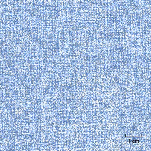[451443] BLUE, PLAIN
