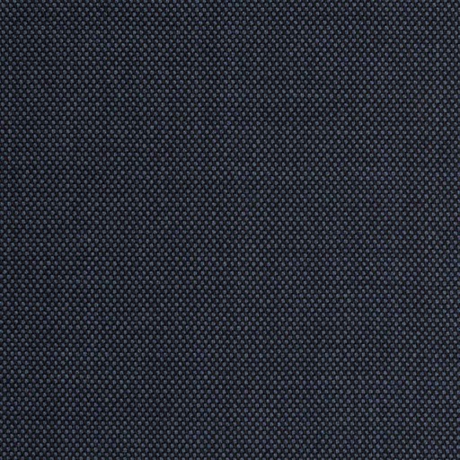 [227341] BLUE, BIRDEYE