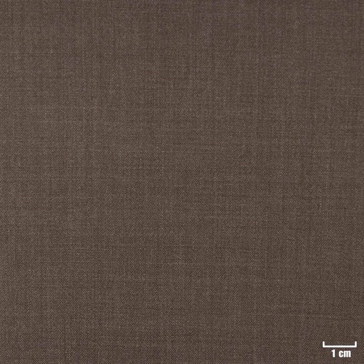 [353225] BROWN, PLAIN