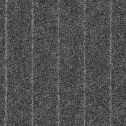 [319031] GREY, OFF WHITE STRIPES (DR# 70131)