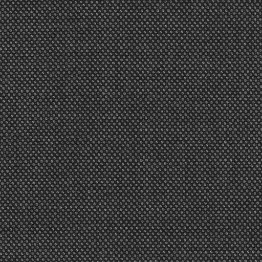 [319130] GREY, BIRDEYE (DR# 61030)