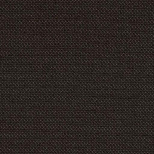 [319134] DARK BROWN, BIRDEYE (DR# 61034)
