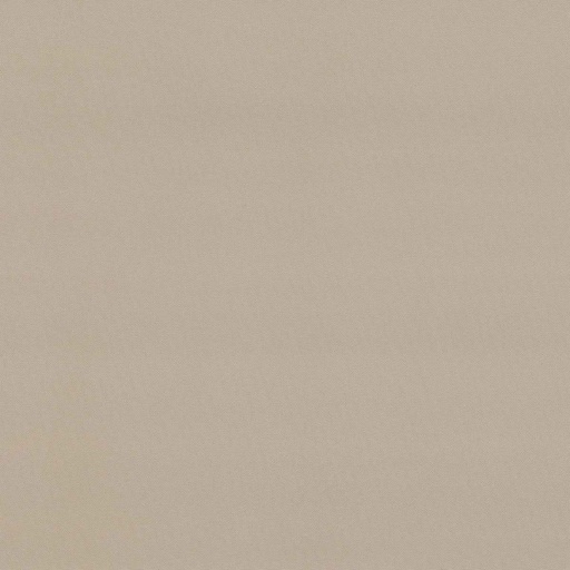 [319401] BEIGE,PLAIN (DR# 259001)
