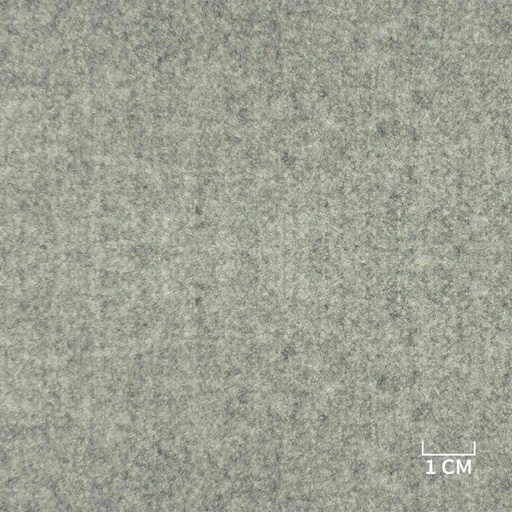 [353413] LIGHT GREY, PLAIN