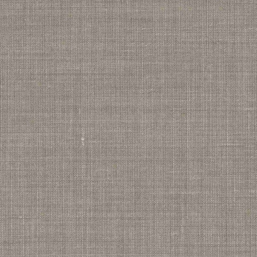 [319624] LIGHT BROWN, PLAIN (DR# 50424)