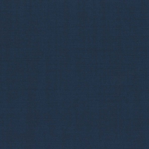 [319806] BLUE, PLAIN (DR# 15106)