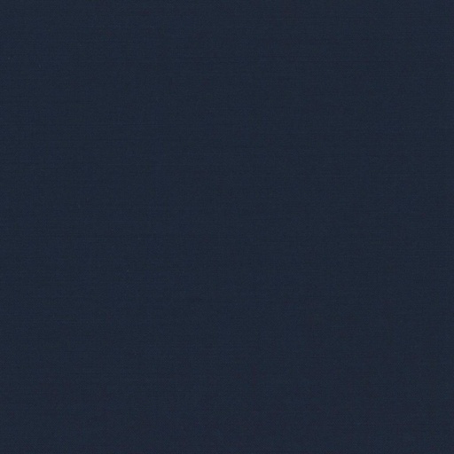 [319807] BLUE, PLAIN (DR# 15107)