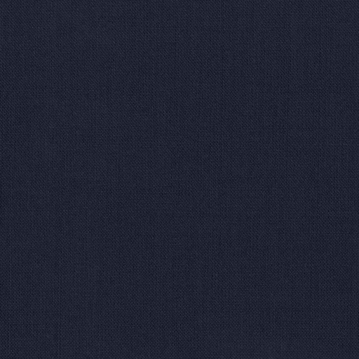 [319839] BLUE, PLAIN (DR# 15139)