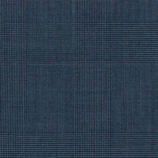 [319905] BLUE, BIG CHECKS (DR# 17005)
