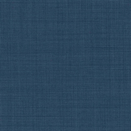 [319936] BLUE, DOTTED PATTERN (DR# 17036)
